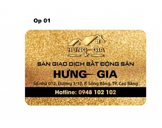 Mẫu 4